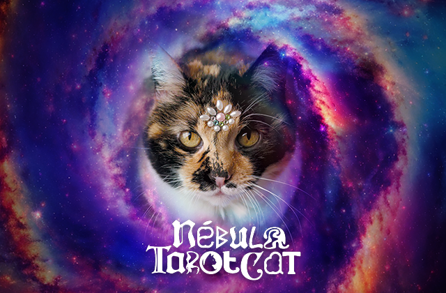 Nébula Tarot Cat cover